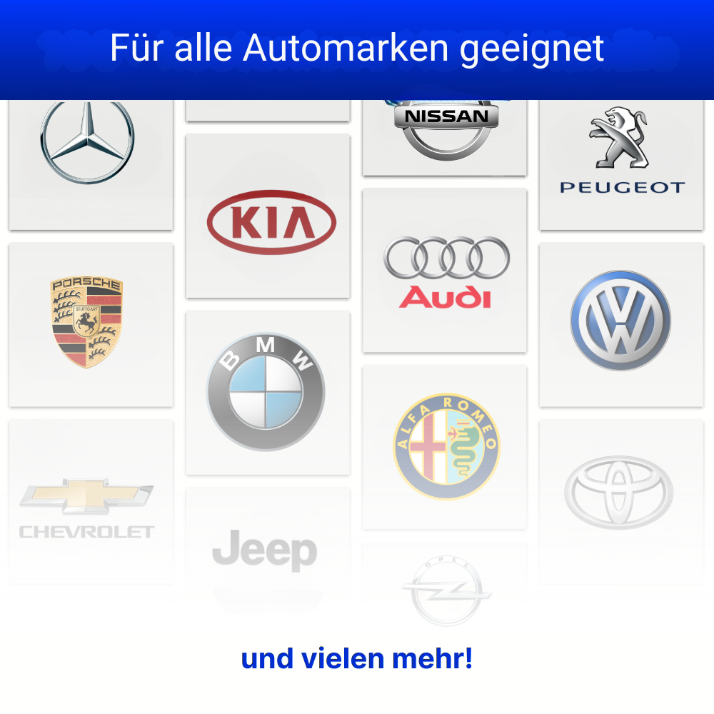 Festberg™ - CarCheck