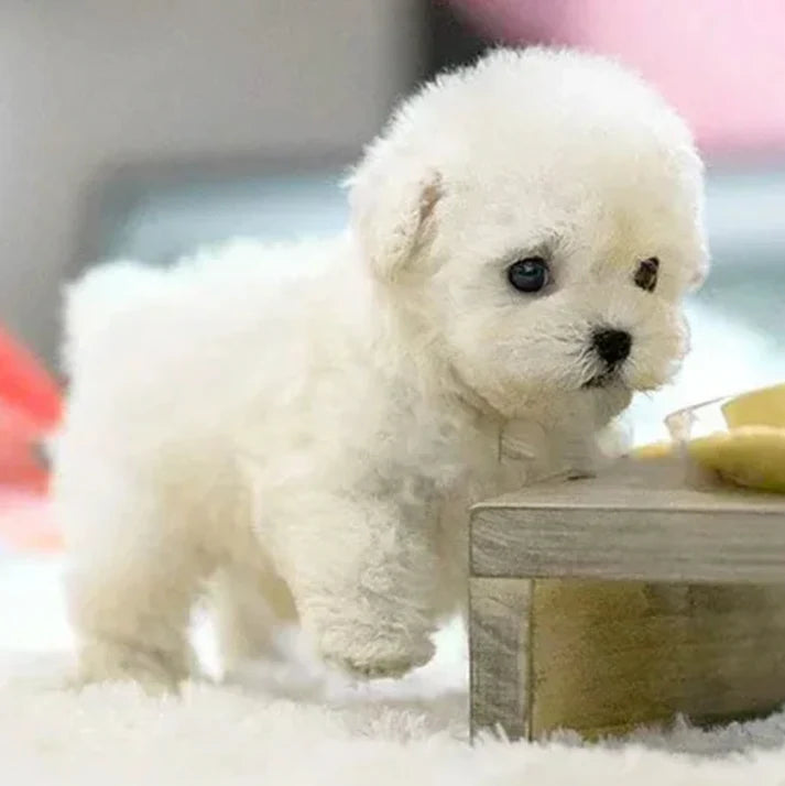 RealPuppy™ – lebensechter Roboterwelpe