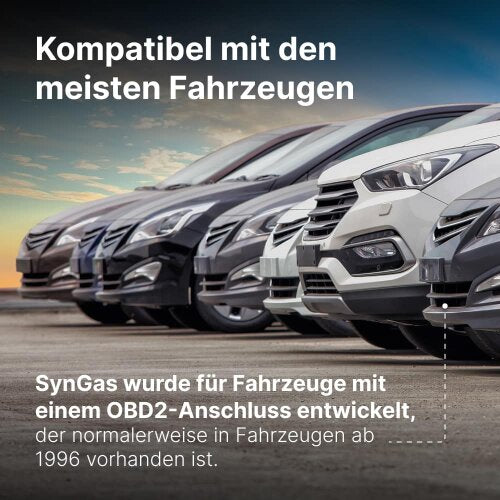 SynGas™ Nr.1 Benzinspargerät